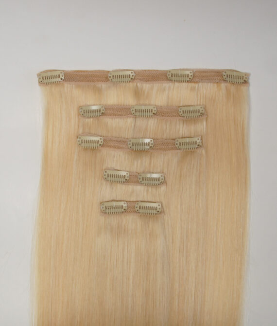 ENVY Clip In 5pcs 24/Golden Sand 50-52cm