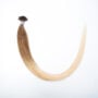 ENVY Nail Tip Premium T6-12 Sahara 54-56cm (25pcs)