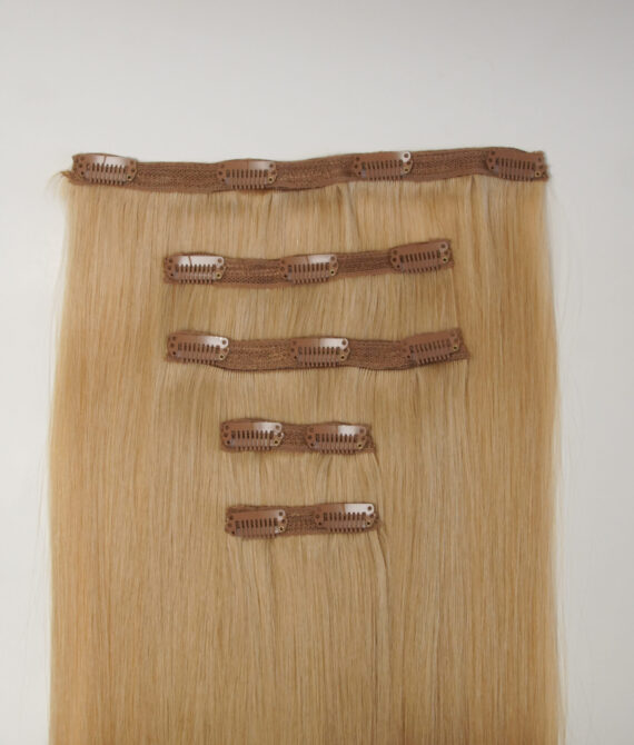 ENVY Clip In 5pcs 10/Wheat 50-52cm