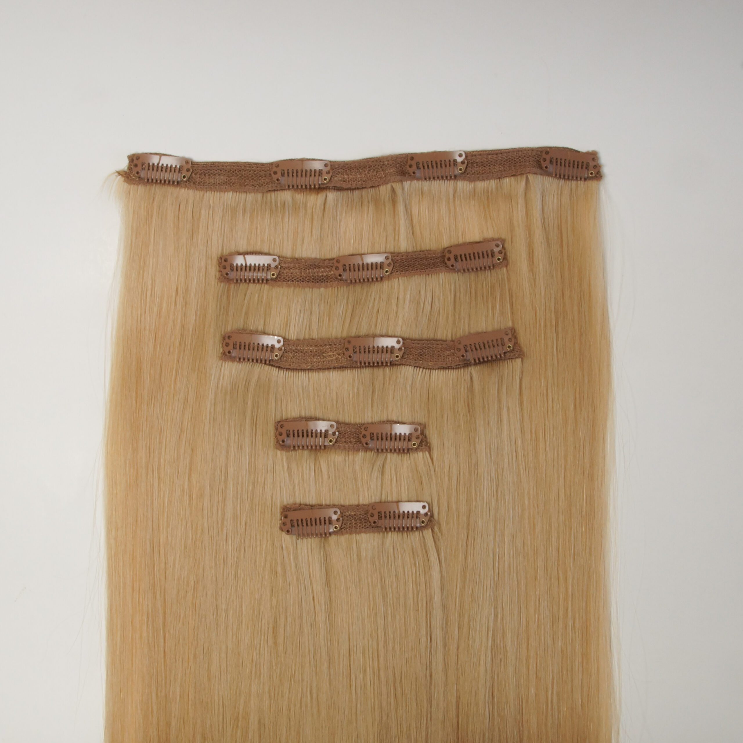 ENVY Clip In 5pcs 10/Wheat 50-52cm